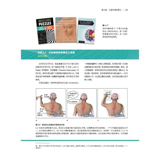 认知神经科学 关于心智的生物学 原著第5版 商品图1