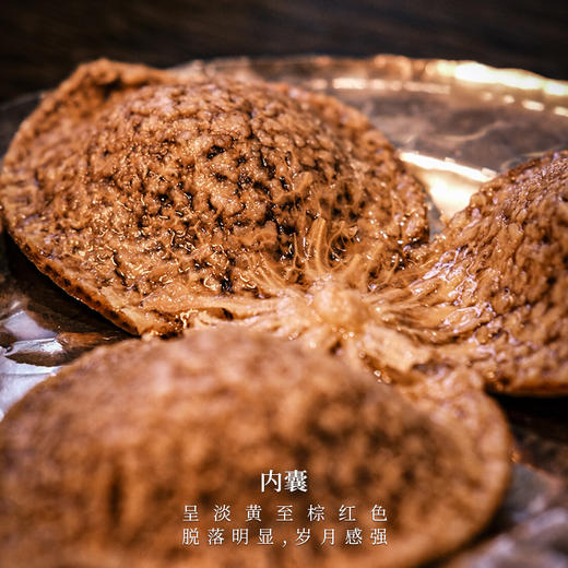 【敬序堂】（10年）天马（黄色）新会陈皮（品鉴装）15g 商品图2