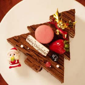 圣诞许愿树（可可）6#