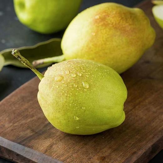 新疆库尔勒香梨5斤（特级果120g-150g） 商品图4