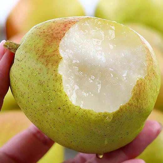 新疆库尔勒香梨5斤（特级果120g-150g） 商品图2