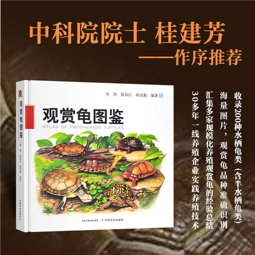 观赏龟图鉴【中国农业出版社官方正版】 商品图0