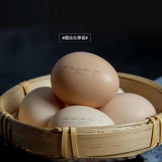 藏仙虫草鸡 虫草面 藏仙虫草蛋30枚 商品图6