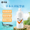 【社群专享】华畜草本五黄精华液500ml 纯中药浓缩液抗菌消炎 保肝利胆提高抵抗力 商品缩略图0