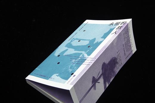 永恒的敌人（波兰）亚当·扎加耶夫斯基 著 商品图5