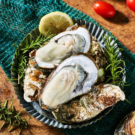 【包邮】精品带标  山东威海乳山生蚝 肉质鲜美饱满 入口滑嫩 自然鲜甜 又肥又嫩 商品图1