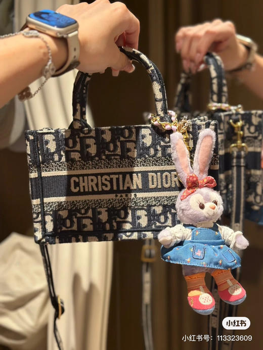 Dior托特mini 老花 商品图5