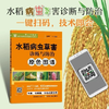 水稻病虫害诊断与防治原色图谱【中国农业出版社官方正版，可开发票，下单时留开票信息和电子邮箱】 商品缩略图0