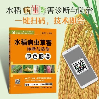 水稻病虫害诊断与防治原色图谱【中国农业出版社官方正版，可开发票，下单时留开票信息和电子邮箱】 商品图0