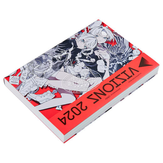 【中商原版】VISIONS2024画集 pixivp站插画年鉴 日本插画师作品集 望月けい封面收录特别访谈 日文艺术原版 商品图3