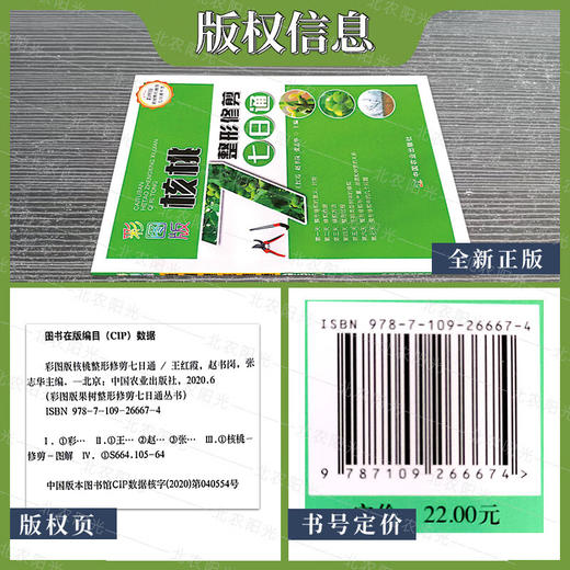核桃整形修剪7日通 彩图版果树整形修剪七日通丛书 核桃 整形修剪 剪枝 纸皮核桃 中国农业出版社 9787109266674【官方正版，可开发票，下单时留开票信息和电子邮箱】 商品图3