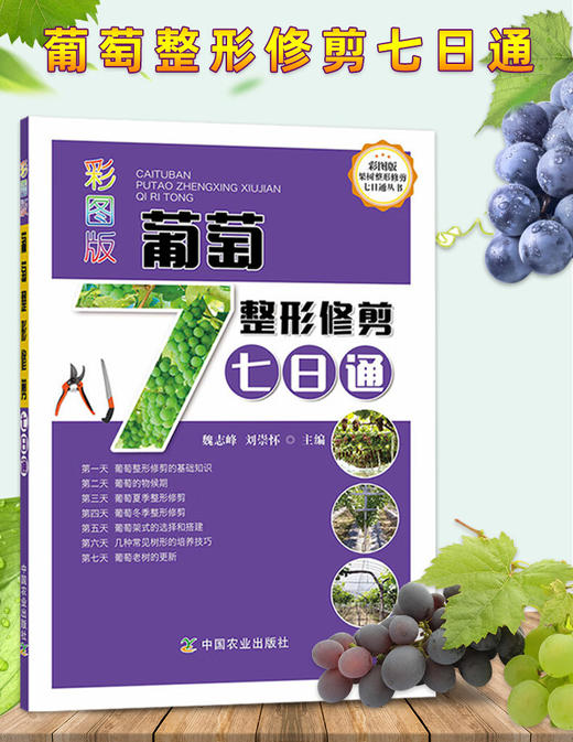 彩图版葡萄整形修剪七日通【官方正版，可开发票，下单时留开票信息和电子邮箱】 商品图1