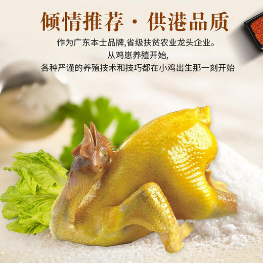 广远杏花鸡盐焗鸡600g*2只 商品图0