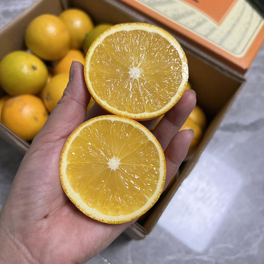 云南花斑橙 商品图3