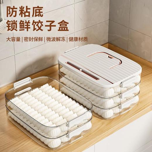 饺子盒家用食品级厨房冰箱整理神器馄饨盒保鲜速冻冷冻专用收纳盒 商品图2