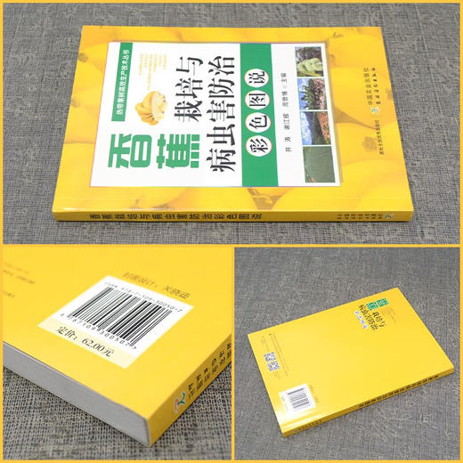 香蕉栽培与病虫害防治彩色图说【官方正版，可开发票】 商品图1