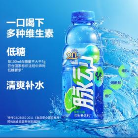 脉动功能饮料青柠味600ml