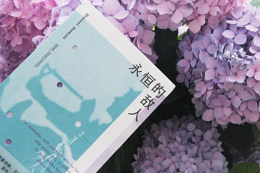 永恒的敌人（波兰）亚当·扎加耶夫斯基 著 商品图2