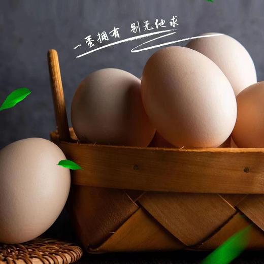 藏仙虫草鸡 虫草面 藏仙虫草蛋30枚 商品图0