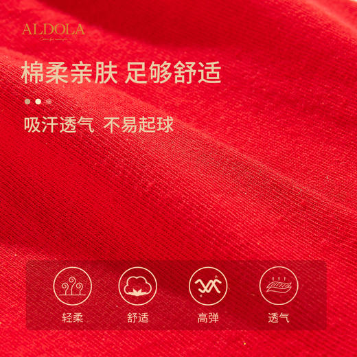 雅黛丽本命年红袜子女秋冬中筒袜棉质属龙礼物结婚长袜2024年新款 商品图3