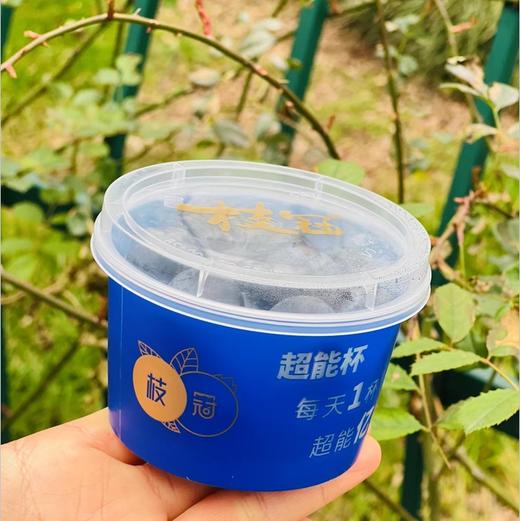枝冠超能杯蓝莓| ，你们喜欢的枝冠超能杯蓝莓到啦，空运果子非常新鲜，这个品种非常好，颗粒大而饱满，皮薄肉细嫩，绵糯甜蜜蜜，清香扑鼻，高品质蓝莓吃起来～ 商品图2
