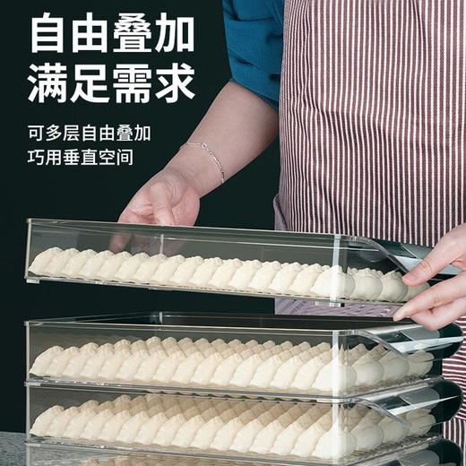 饺子收纳盒冰箱用食品级馄饨水饺食物专用速冻冷冻多层家用保鲜盒 商品图2