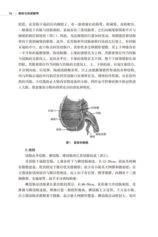 便秘与排便障碍 常见病临床针灸丛书 邹洋洋 徐修竹 主编 便秘针灸疗法 诊治规律 疗效特点 中国医药科技出版社9787521437577 商品图4