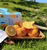 橙园几里-赣南脐橙礼盒装 8.5斤左右 商品缩略图5