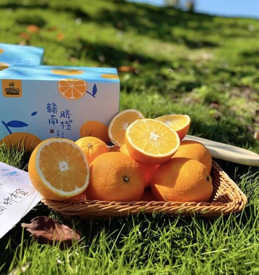 橙园几里-赣南脐橙礼盒装 8.5斤左右 商品图5