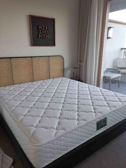 城喧卧室床垫 商品图0