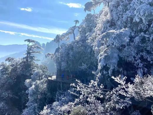 户外@【冰雪莽山】莽山云海冰挂雾凇、行摄高椅岭 2天 商品图1