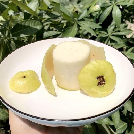 【树上熟采摘，发货慢】一旦开始就停不下来！奶油芭乐 又软又奶又香 自带菠萝甜香味 搭配酸梅粉 赞不绝口 商品图3