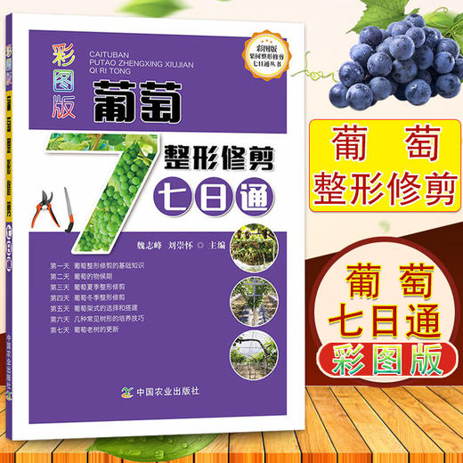 彩图版葡萄整形修剪七日通【官方正版，可开发票，下单时留开票信息和电子邮箱】 商品图0