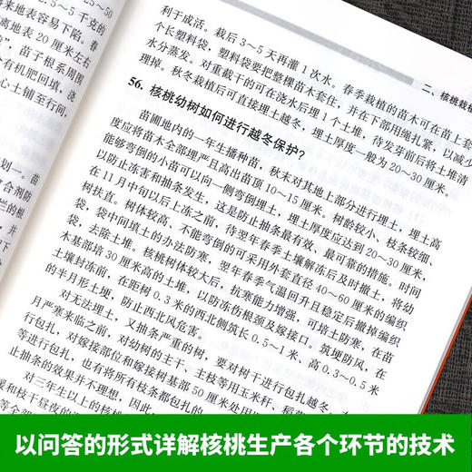 核桃高质高效生产200题 【中国农业出版社官方正版，可开发票，下单时留开票信息和电子邮箱】 商品图3