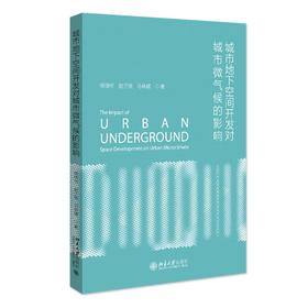 城市地下空间开发对城市微气候的影响 杨晓彬 赵子维 马林建 著 北京大学出版社