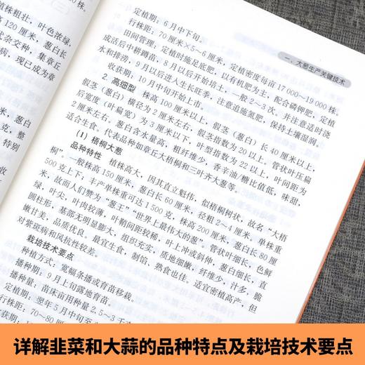 葱蒜类蔬菜生产关键技术一本通 【官方正版，可开发票，下单时留开票信息和电子邮箱】 商品图4