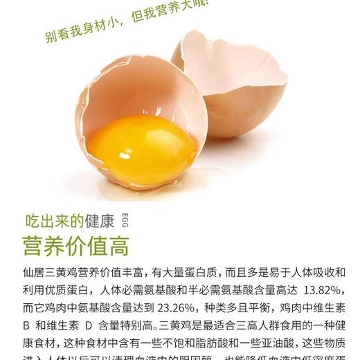 藏仙虫草鸡 虫草面 藏仙虫草蛋30枚 商品图5