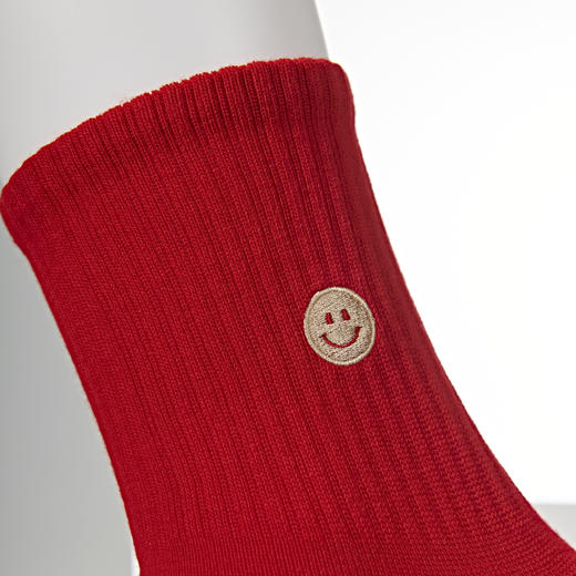 [2双][6双6折]男士鸿运袜无骨精梳棉袜【2321210】 商品图1