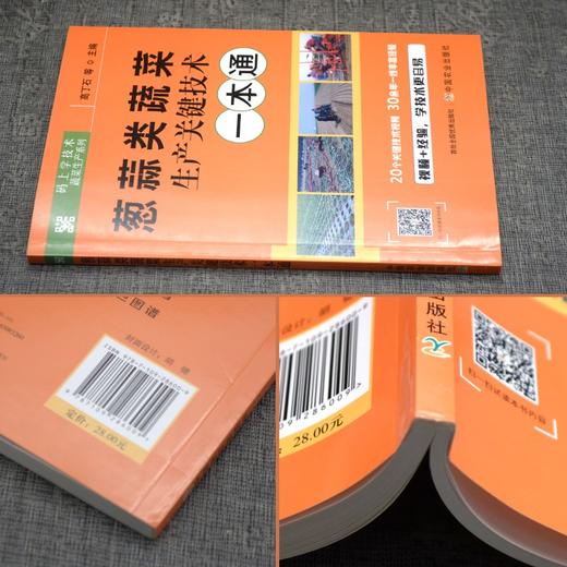 葱蒜类蔬菜生产关键技术一本通 【官方正版，可开发票，下单时留开票信息和电子邮箱】 商品图3