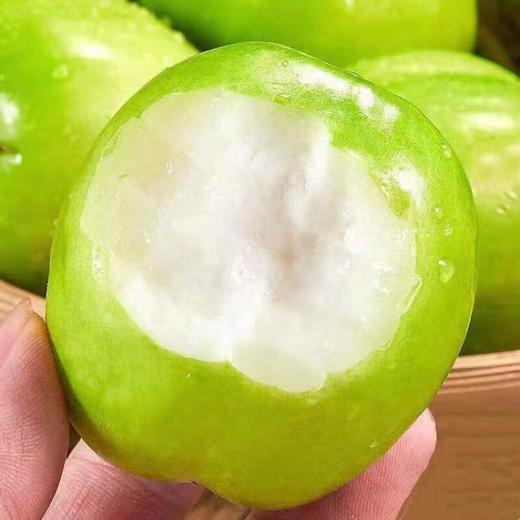 【牛奶贵妃枣】皮薄酥脆 核小肉厚 味美多汁 味道怡人 清甜多汁 好吃不腻 2种规格任选 商品图0