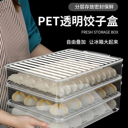 饺子收纳盒冰箱用食品级馄饨水饺食物专用速冻冷冻多层家用保鲜盒 商品图0