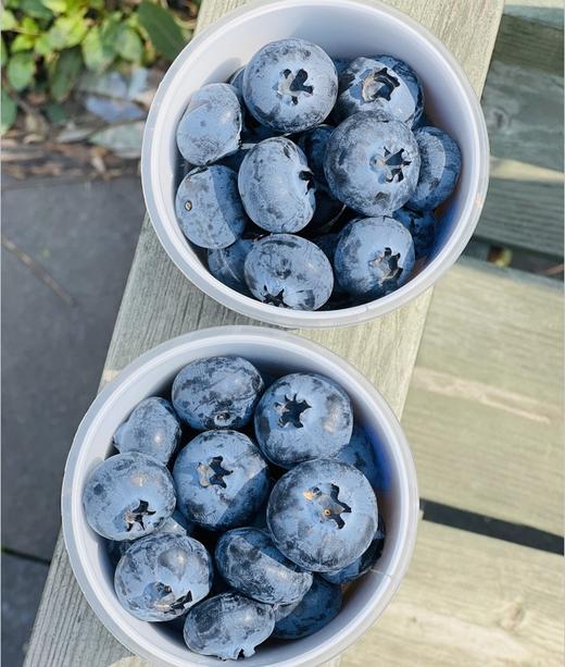 枝冠超能杯蓝莓| ，你们喜欢的枝冠超能杯蓝莓到啦，空运果子非常新鲜，这个品种非常好，颗粒大而饱满，皮薄肉细嫩，绵糯甜蜜蜜，清香扑鼻，高品质蓝莓吃起来～ 商品图7