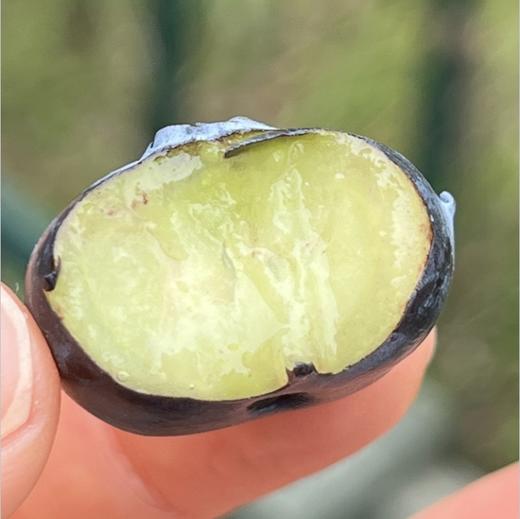 枝冠超能杯蓝莓| ，你们喜欢的枝冠超能杯蓝莓到啦，空运果子非常新鲜，这个品种非常好，颗粒大而饱满，皮薄肉细嫩，绵糯甜蜜蜜，清香扑鼻，高品质蓝莓吃起来～ 商品图6