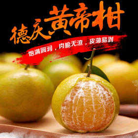 德庆贡柑9斤/箱