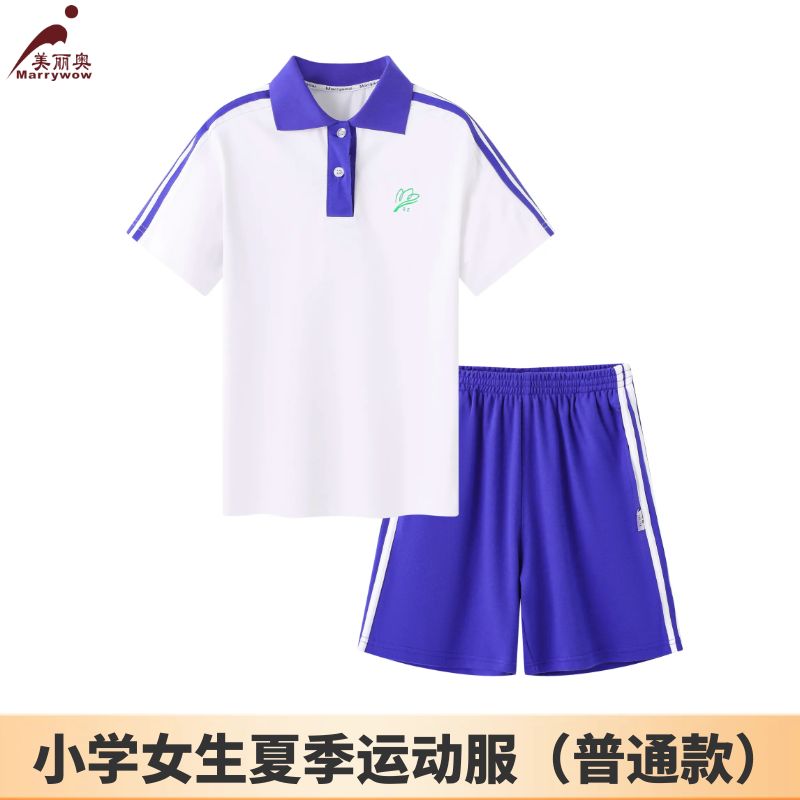 【小学生夏装】深圳教育局 深圳小学生夏季运动服短袖T恤短裤  普通款