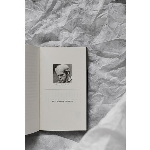 三叶虫与其他故事 （你从未听说过的伟大作家！早逝天才唯一遗作，“美国版《都柏林人》”） 商品图6