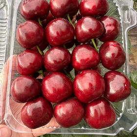  过年礼品大集合