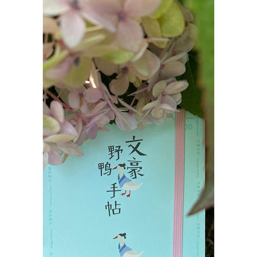 文豪野鸭手帖 商品图7