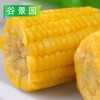 【会员专享】玉米段 1kg/袋(3cm/段) 10袋/件 商品缩略图2