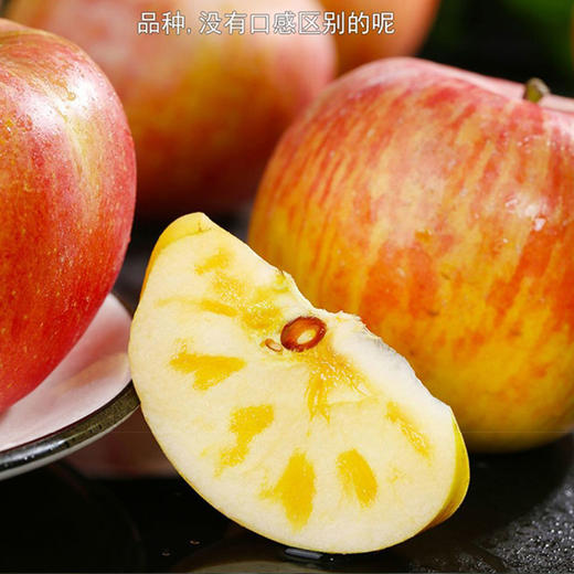 新疆冰糖心苹果4.5斤（小果75-79#） 商品图3